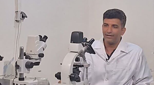 فناوری تکثیر مصنوعی باس دریایی؛ دستاورد پژوهشگر ایرانی در مسیر تولید بچه‌ماهی باکیفیت