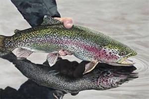 تولید مولدین نرِ نئومیل و فرمولاسیون اختصاصی رقیقسازی اسپرم قزلآلای رنگینکمان