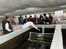 روز مزرعه تکثیر ماهی تیلاپیا در شرکت نیلآبزیست برگزار شد