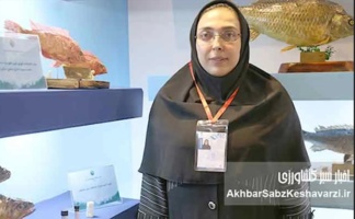 برای نخستین بار در کشور؛ نسل ششم پرورشی ماهی آزاد دریای کاسپین وارد قفس‌های پرورش ماهی شد