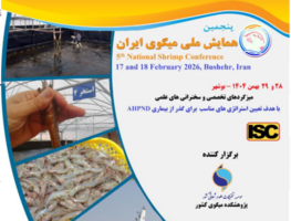 از هوش مصنوعی تا اصلاح ساختار؛ محورهای پنجمین همایش ملی میگوی ایران در بوشهر