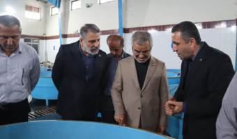 نماینده رشت و خمام از انستیتو تحقیقات بین‌المللی ماهیان خاویاری با محوریت احیای ذخایر خزر و توسعه آبزی‌پروری بازدید کرد