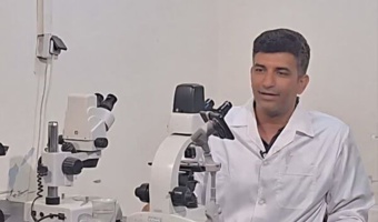فناوری تکثیر مصنوعی باس دریایی؛ دستاورد پژوهشگر ایرانی در مسیر تولید بچه‌ماهی باکیفیت