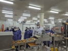 بازدید علمی و آموزشی از خط تولید شرکت الماس آدرین پارس