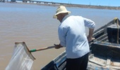 ارزیابی جامع ذخایر آرتمیای دریاچه ارومیه در ایستگاههای استراتژیک مورد بررسی قرار گرفت
