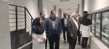 بازدید رئیس مؤسسه تحقیقات علوم شیلاتی کشور از ظرفیت‌های صید و فرآوری آبزیان در سیستان و بلوچستان