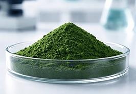 گزارش پیشرفت پروژه‌های تحقیقاتی بخش زیست‌فناوری و فرآوری آبزیان ارائه شد