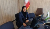 خلاقیت؛ فراتر از هوش و استعداد ذاتی/ خانواده، اصلی‌ترین معمار اندیشه نوآورانه کودکان