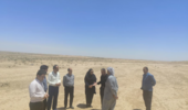 تحول در صنعت دامپروری ایلام با دانش‌بنیان کردن پرورش شتر در دهلران