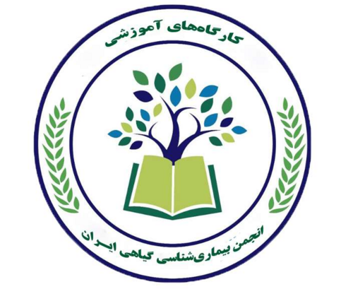 کارگاه‌ها