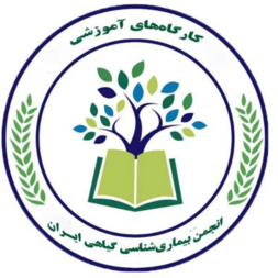 کارگاه‌ها