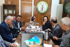 گالری تصاویر