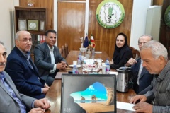 گالری تصاویر