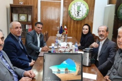 گالری تصاویر
