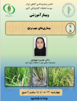 برگزاری کارگاه آموزشی "بیماریهای مهم برنج"