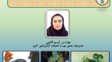 برگزاری کارگاه آموزشی "بیماری‌های ویروسی گیاهان زینتی"
