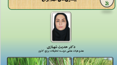 برگزاری کارگاه آموزشی "بیماریهای مهم برنج"