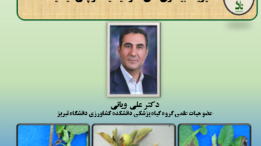 برگزاری کارگاه آموزشی "مدیریت بیماری‌های منوسیکلیک و پلی‌سیکلیک"