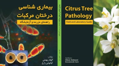 بیماری‌شناسی درختان مرکبات  (راهنمای مزرعه و آزمایشگاه)