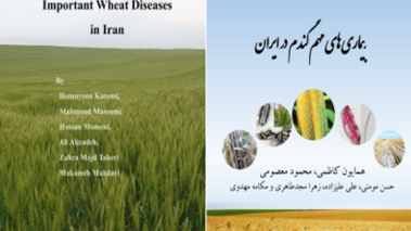 بیماری‌های مهم گندم در ایران