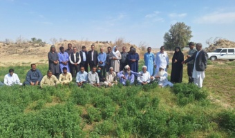 برگزاری دوره آموزشی ترویجی اصول علمی تولید علوفه پاییزه در شهرستان زهک،سیستان و بلوچستان