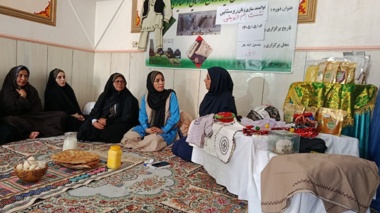 برگزاری کارگاه آموزشی توانمندسازی زنان روستایی در شهرستان زابل