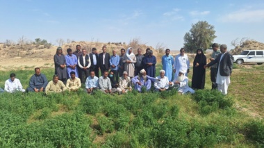 برگزاری دوره آموزشی ترویجی اصول علمی تولید علوفه پاییزه در شهرستان زهک،سیستان و بلوچستان