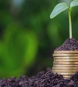 برگزاری دوره «آشنایی با اصول و مفاهیم بیمه کشاورزی» برای کارشناسان جهاد کشاورزی خوزستان