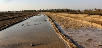 برگزاری وبینار تخصصی مدیریت آبیاری گندم در شرایط خشکسالی