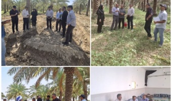 بازدید تیم ملی پایش از پایلوت‌های «کشاورزی پایدار» در خوزستان