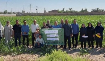 برگزاری روز مزرعه سورگوم در باوی با تأکید بر آموزش عملی و ارتقای کیفیت علوفه