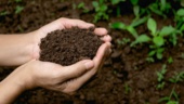 پژوهشگر خوزستانی هشدار داد: خاک حاصلخیز خوزستان در آستانه نابودی