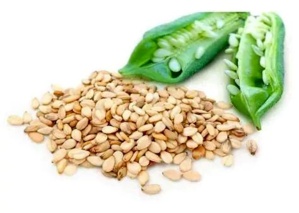 افزایش بهره‌وری کنجد مانع از واردات ۸۵ درصدی روغن می‌شود