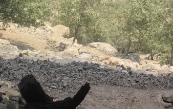 عوامل انسانی مهم‌ترین تهدید برای جنگل‌های زاگرس خوزستان