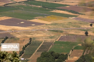 کشاورزی خوزستان در جدال با بحران کم آبی