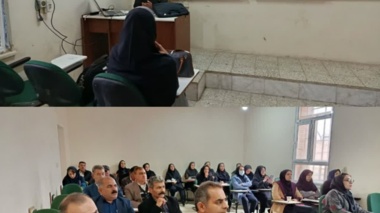 شیوه‌های نوین کشت، گامی مؤثر در جهت افزایش بهره‌وری و ارتقای کیفیت محصولات گلخانه‌ای