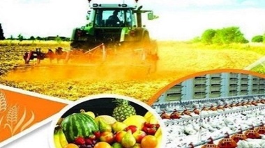 کاهش ۳۵ تا ۴۰ درصدی ضایعات کشاورزی؛ کلید بهبود امنیت غذایی کشور