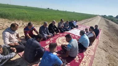مدیریت هوشمند مزارع گندم در خوزستان؛ از آبیاری پایانی تا برداشت مکانیزه