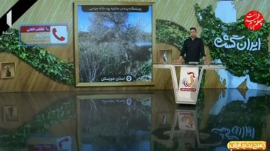 ایجاد کلکسیون پده؛ مسیری برای حفاظت و احیای اکوسیستم‌های کرانرودی و توسعه زراعت چوب در خوزستان