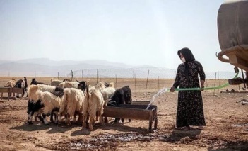 توانمندسازی کارشناسان امور عشایر خوزستان در مواجهه با خشکسالی