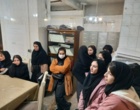 «روز درهای باز کشاورزی»؛ فرصتی برای آشنایی عموم با دستاوردهای نوین بخش کشاورزی