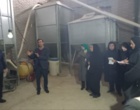 برگزاری دوره آموزش ضمن خدمت کارشناسان علوم دامی در مرغداری صنعتی ۵۰ هزار قطعه‌ای پردیس بادیه خرم‌آباد