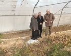 از دانش بومی تا توسعه پایدار؛ هم‌افزایی بنیاد ایران‌شناسی لرستان و باغ گیاه‌شناسی زاگرس