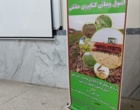 کارگاه کشاورزی حفاظتی در بروجرد الگویی برای کل استان