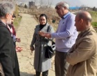 گامی در راستای توسعه تحقیقات کاربردی گیاهان دارویی