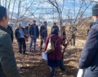 موج نوین آموزش‌های تخصصی کشاورزی در مراکز جهاد کشاورزی: از مبارزه با بیماری‌های باغی تا تغذیه هوشمند مزارع
