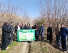 برگزاری روز مزرعه «مدیریت علمی هرس باغات»