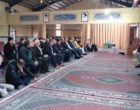 برگزاری سه دوره مهارتی تخصصی با محوریت کنترل آفات، تغذیه و احداث اصولی باغات گردو