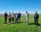 با آغاز پایش میدانی مزارع بذری گندم، وضعیت سطح سبز در شهرستان کوهدشت مطلوب ارزیابی شد