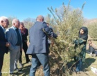 انتقال دانش تخصصی هرس و مدیریت آفات زیتون به باغداران با حضور محققان مرکز تات لرستان